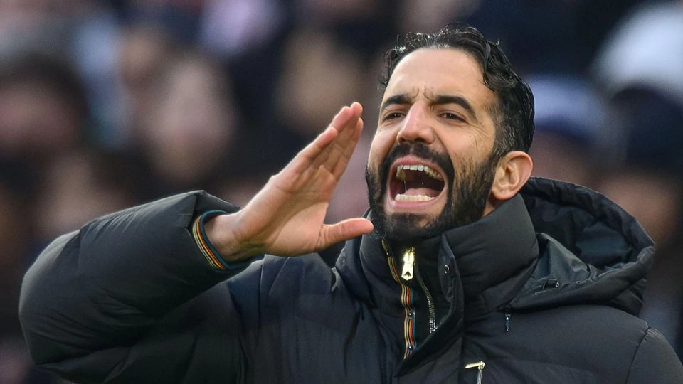 阵容来帮助, 去交付, 费迪南德在 阵容来帮助, 去交付, 费迪南德在